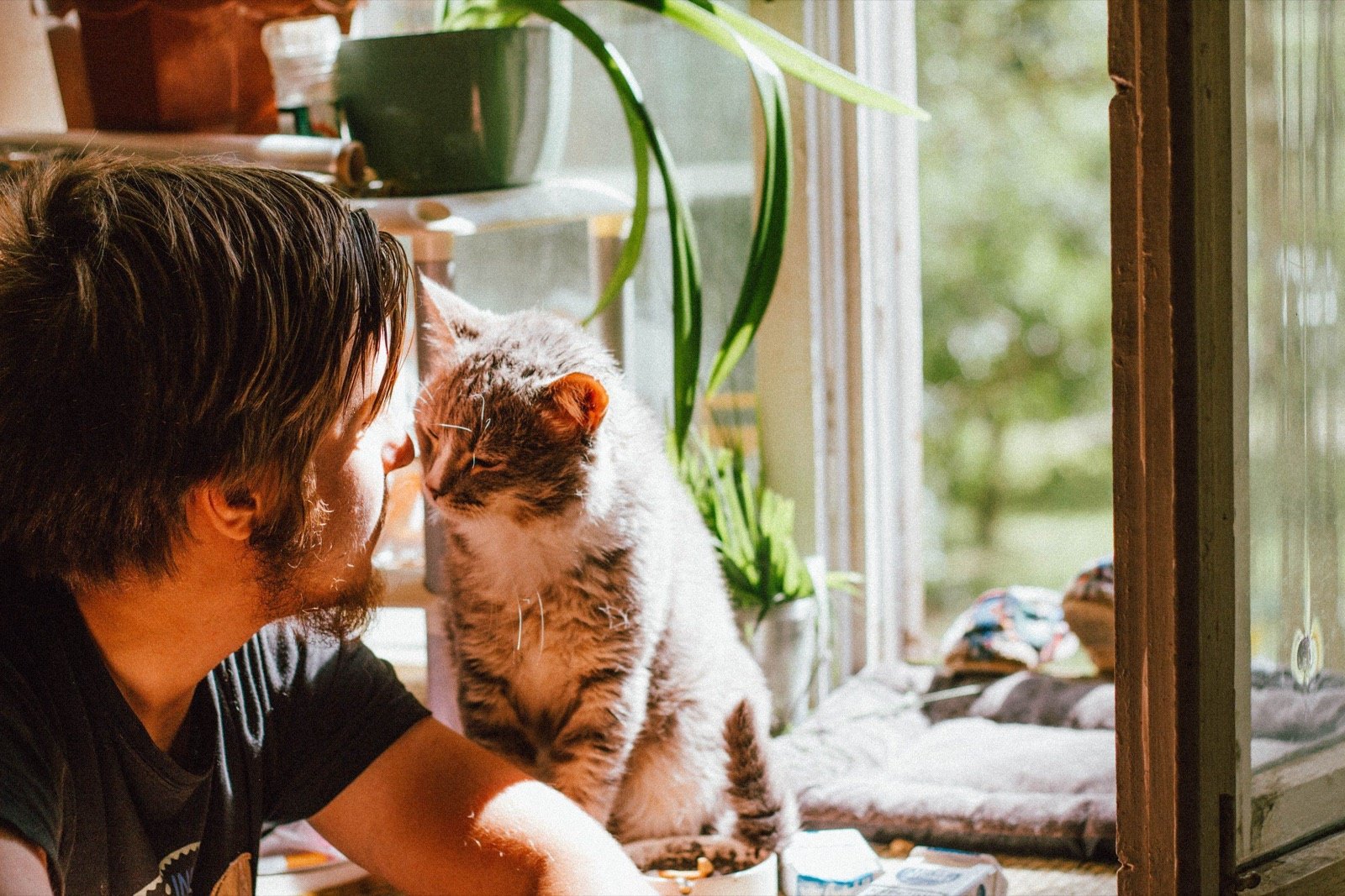 A man gently touching noses with his cat by a sunny window